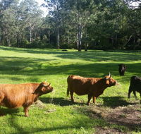 Dingley Dell - Accommodation Asia