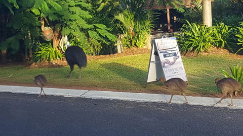 Driftwood Bed And Breakfast - Accommodation Asia 1