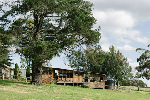 Drovers Rest At Springfield - Accommodation China 2