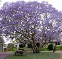 Ecotel Narooma - Accommodation Asia