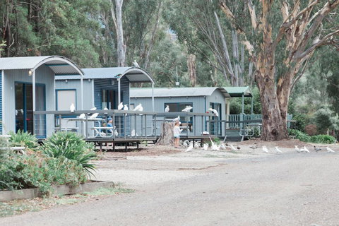 Eildon Pondage Holiday Park - Accommodation Guide 3