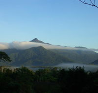 Epiphyte B  B - Accommodation Asia