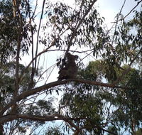 Escape to the Country - Enjoy the firepit or explore magical Bunya Mountains - Accommodation Asia
