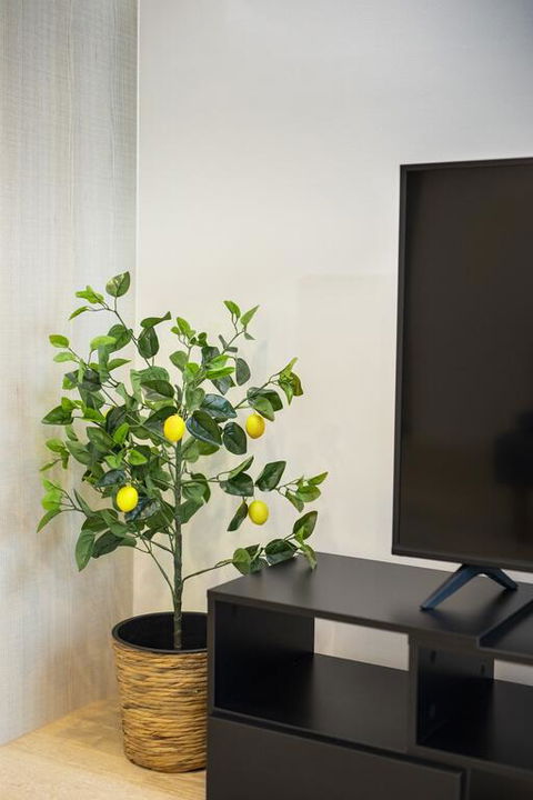 Everhome Melbourne Village 603 - Accommodation Guide 3