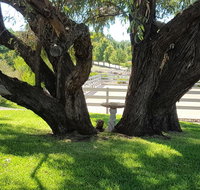 Farm Stay Studio - Accommodation China