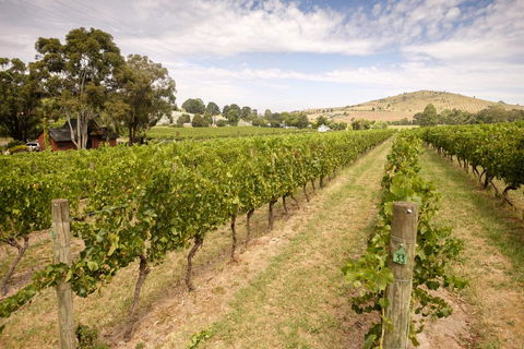 Fergusson Winery Homestead Accomodation - Accommodation China 1