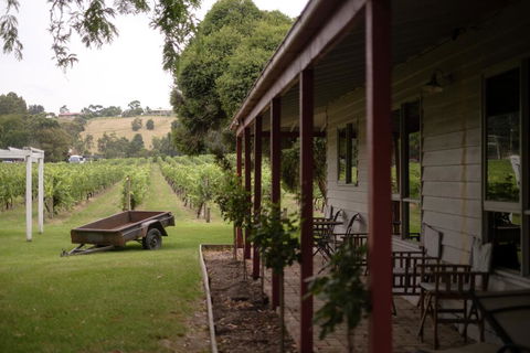 Fergusson Winery Homestead Accomodation - Accommodation China 0