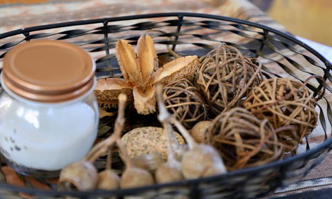 Fig Tree Cabin - Accommodation Asia 1