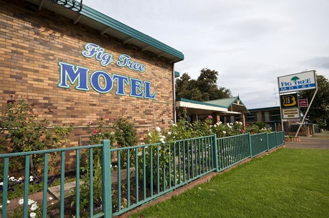 Fig Tree Motel - Accommodation Guide 2