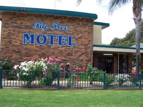 Fig Tree Motel - Accommodation Guide 1