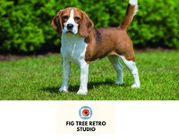 Book Cudgera Creek Accommodation Vacations Accommodation China Accommodation China