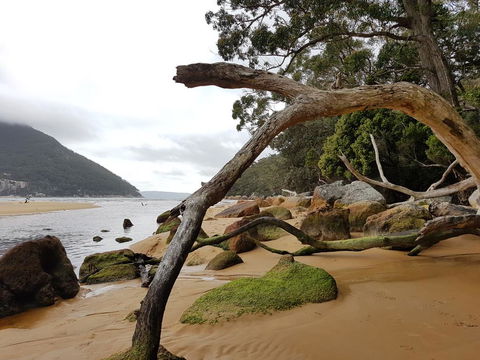Fish Creek Alkira Accommodation - Accommodation Asia 1