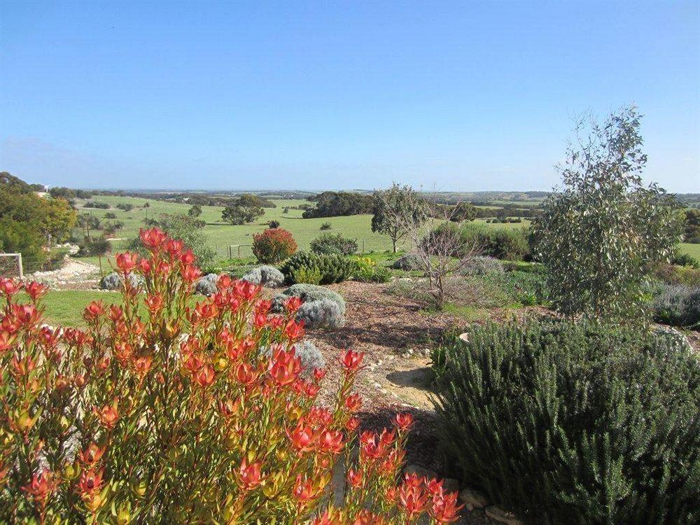Haines SA Accommodation Asia