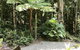 Forest Views Daintree - thumb 0