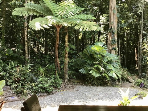 Forest Views Daintree - Accommodation Guide 0