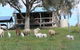 Gaddleen Grove Cottages - thumb 0