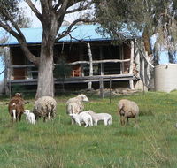 Gaddleen Grove Cottages - Accommodation Asia