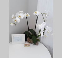 Gawler Heritage Accommodation - Accommodation China