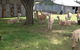 Glen Waverly Farmstay - thumb 3