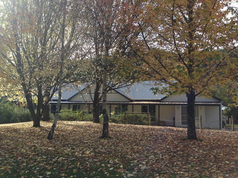 Goldberryaccommodation - Accommodation Asia 0