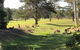 Golf View Motel - thumb 1