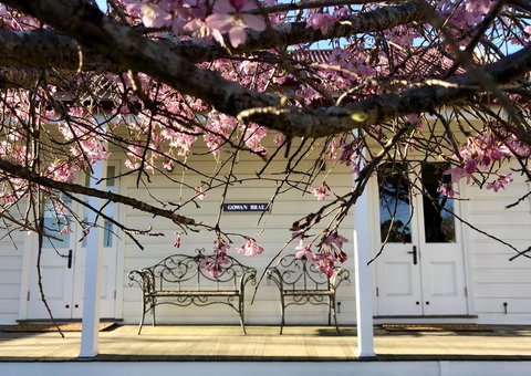 Gowan Brae Cottage - Accommodation Asia 3