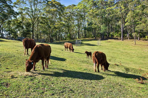 GOWAN ROSS COTTAGE - Accommodation Asia 1
