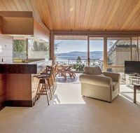 Grey Kangaroo- On Lake Jindabyne foreshore - Accommodation Asia