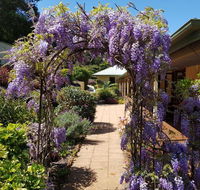Gumtree House Montville - Accommodation Asia