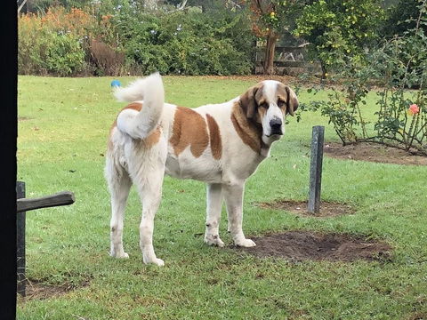 Gzone Farmstay - Accommodation Asia 1