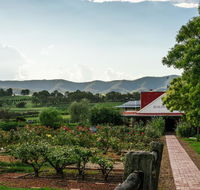 Hanging Tree Wines - Accommodation Asia
