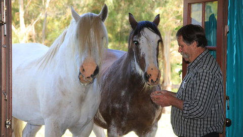 Hatchers Richmond Manor - Accommodation Asia 1