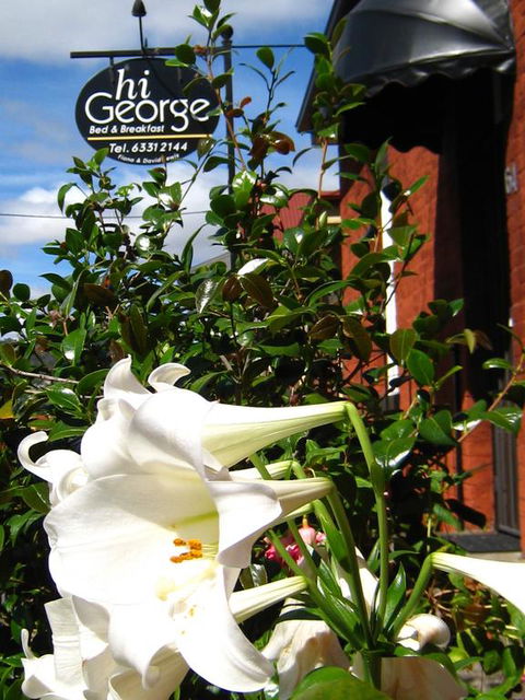 Hi George B&B - Accommodation Asia 1