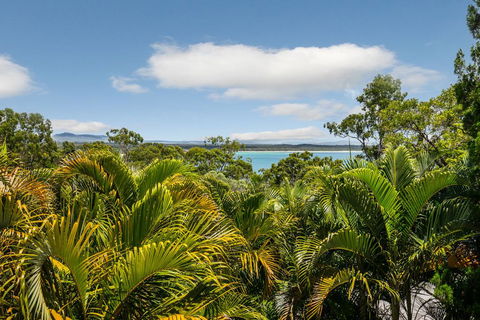 Hidden Rainforest Oasis, Little Cove - Accommodation Asia 2