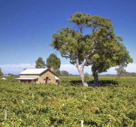 Highbank Country Accommodation - Accommodation Asia 3