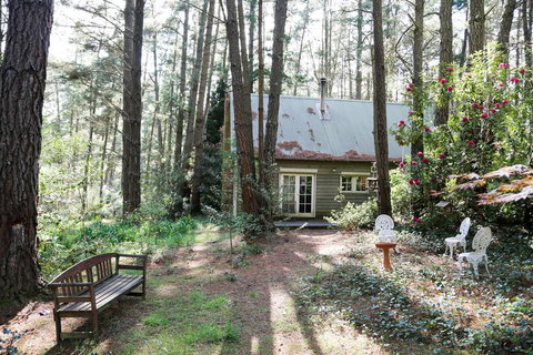 Holly Lodge Medlow Bath - Accommodation Asia 3