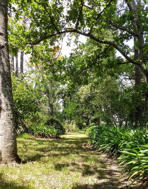 Hollyhill Cottage - Accommodation Guide 3