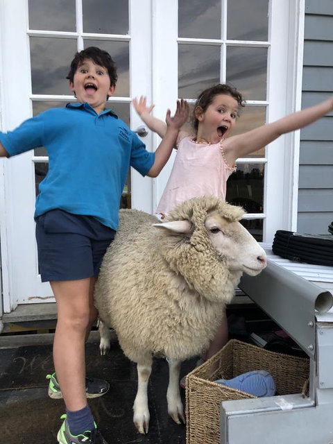 Jackaleah Farm Stay - Accommodation Guide 2