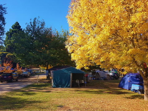 Jamieson Caravan Park - Accommodation Asia 2