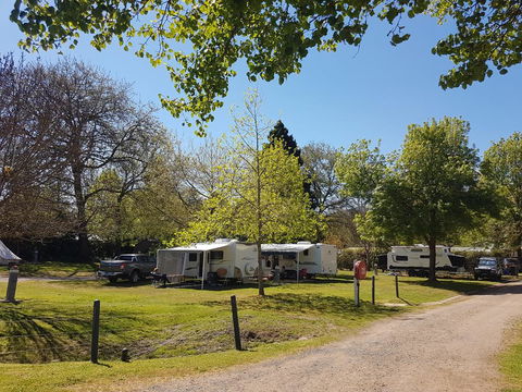 Jamieson Caravan Park - Accommodation Asia 1