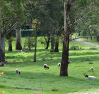 JAN'S ART STUDIO AT ASHBY RISE - Accommodation Asia