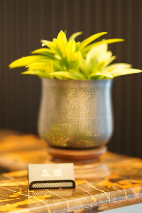 Jephson Hotel & Apartments - Accommodation Asia 3
