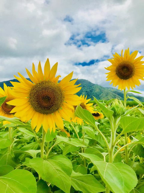 JJs Backpackers Hostel - Accommodation Asia 3