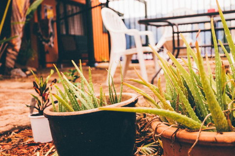 JJs Backpackers Hostel - Accommodation Asia 2