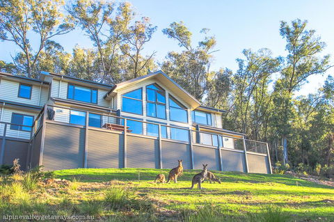 Kangaroo Lodge - Accommodation China 1