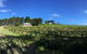 Karawatha Cottages B&B - thumb 0