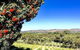 Karawatha Cottages B&B - thumb 2