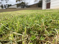 Book Karoonda Accommodation Vacations Accommodation Asia Accommodation Asia