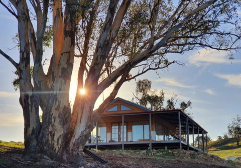 Kestrel Nest EcoHut - Accommodation Asia 0