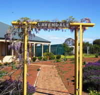Lavendale Farmstay and Cottages York - Accommodation Asia